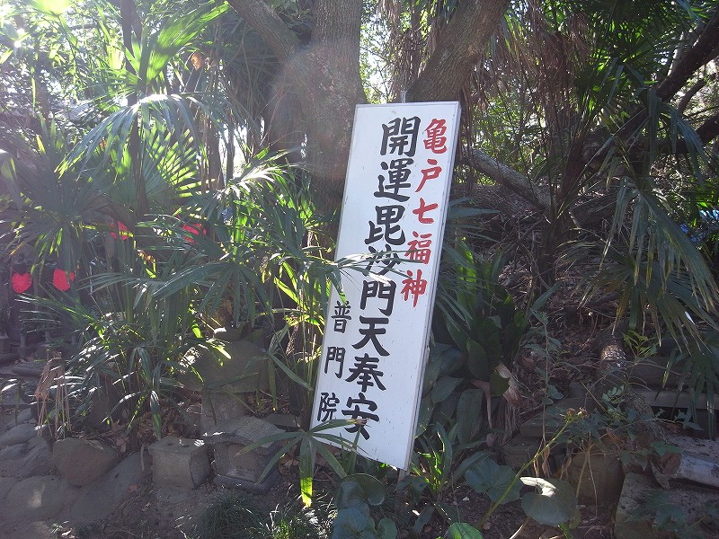 普門院02